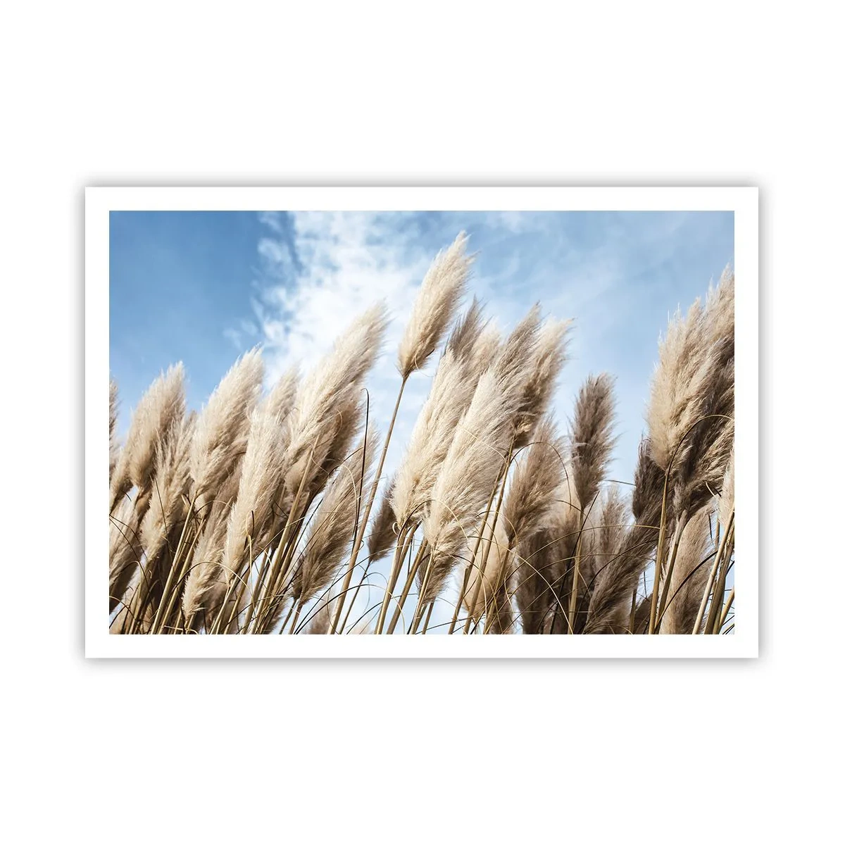 Plagát - Slnečné a veterné pohladenie - 100x70 cm