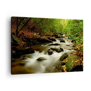 Obraz na plátne - Lesný potok tečúci medzi kameňmi obklopený zeleňou - 70x50cm - Ako tekuté striebro - Moderná nástenná dekorácia do obývacej izby a spálne ARTTOR