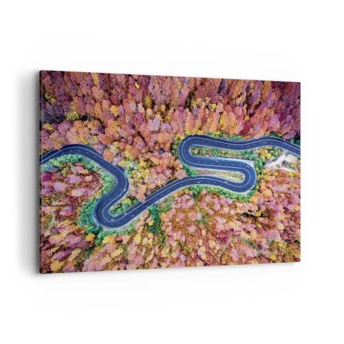 Obraz na plátne - Kľukatá cesta lesom - 100x70 cm