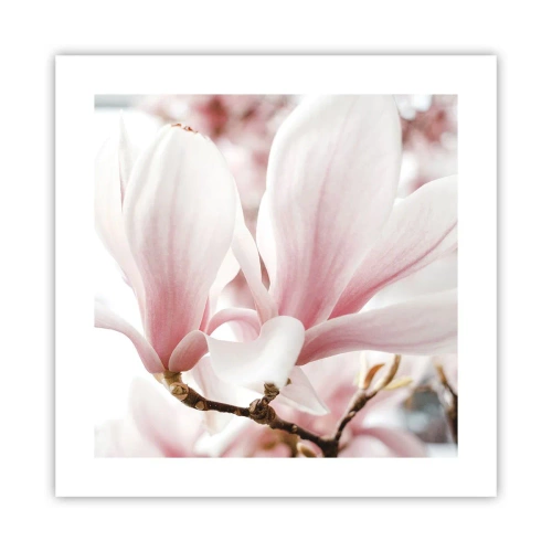 Plagát - Nesmiernosť nežnosti - 40x40 cm