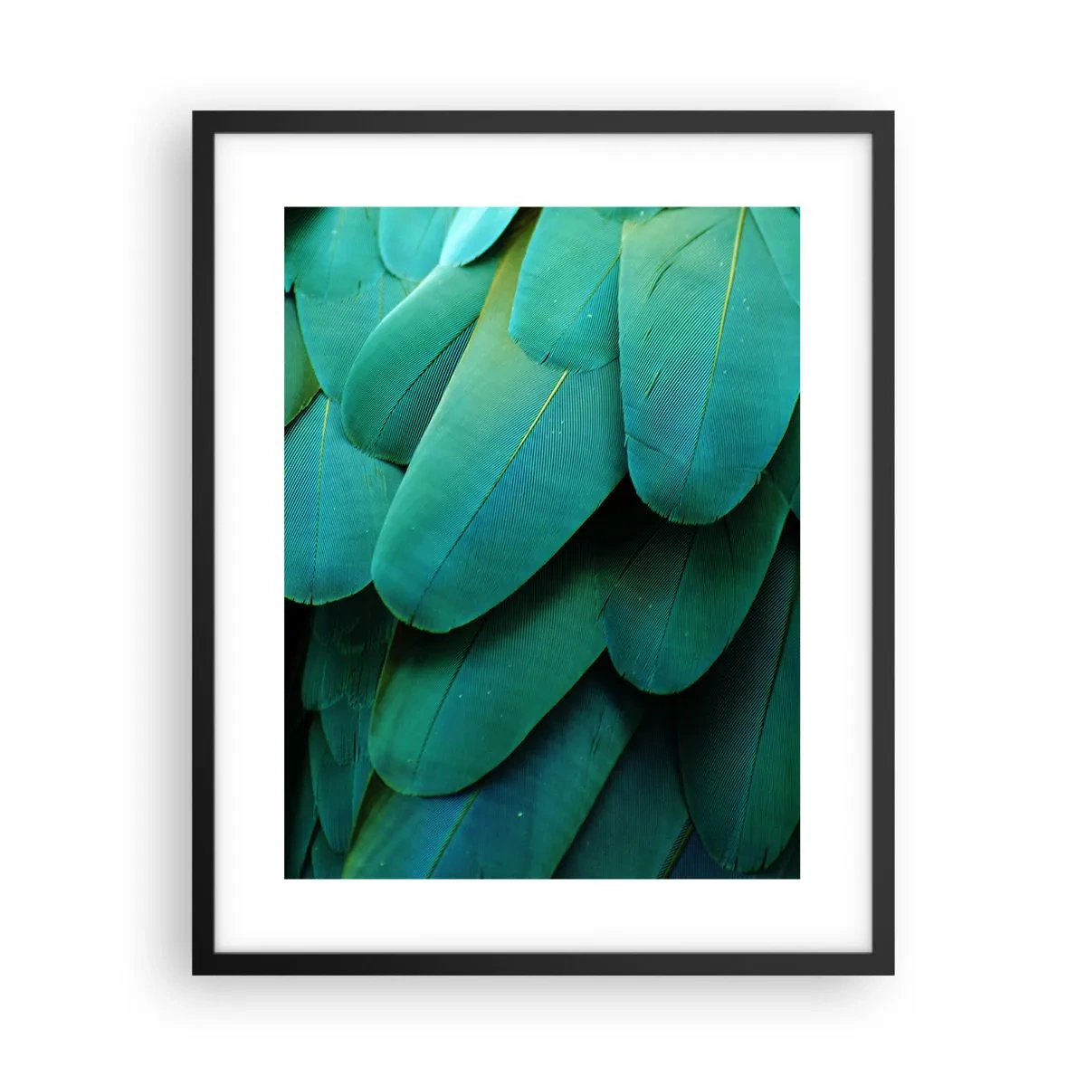 Plagát v čiernom ráme - Presnosť papagájovej povahy - 40x50 cm