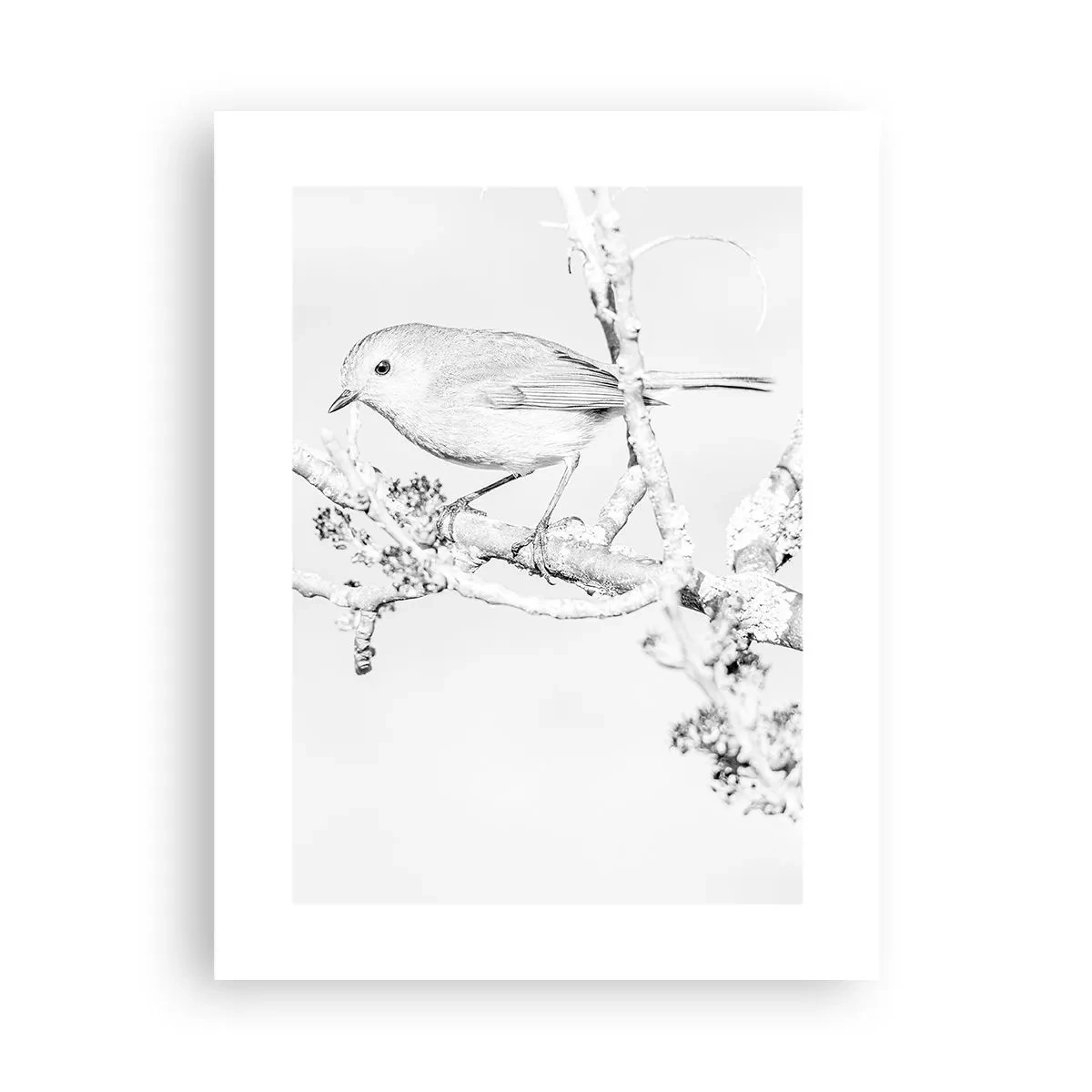 Plagát - Zimné ráno - 30x40 cm