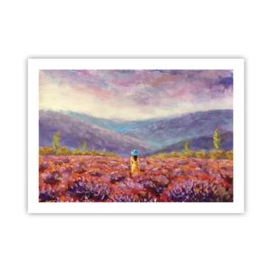 Plagát - V levanduľovom svete - 70x50 cm