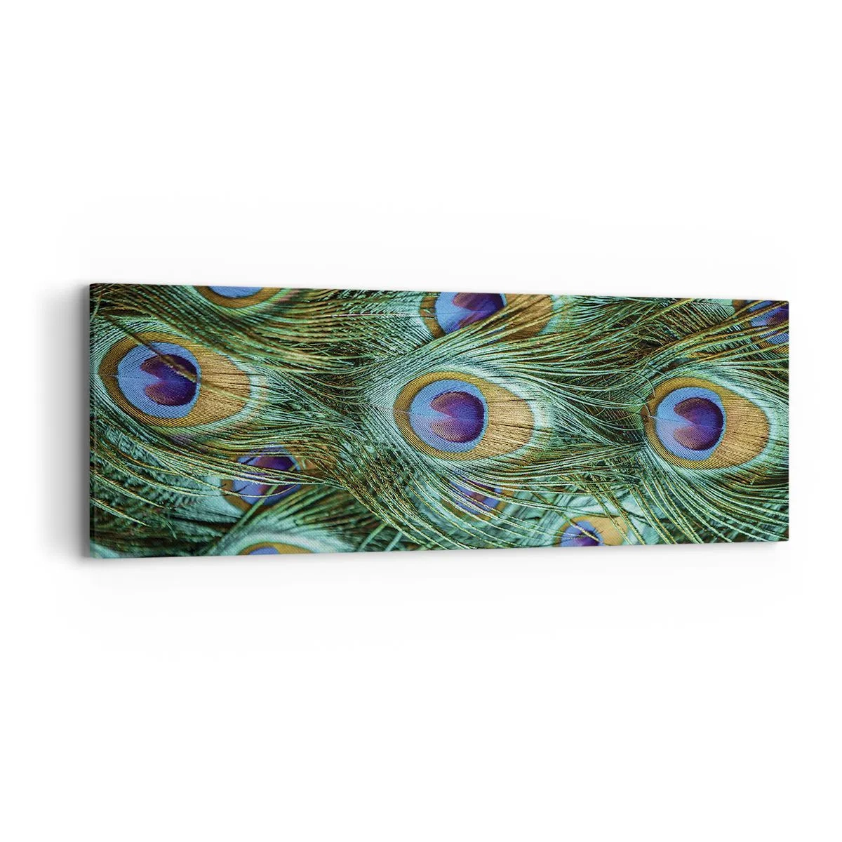 Obraz na plátne - Páví pohľad - 90x30 cm