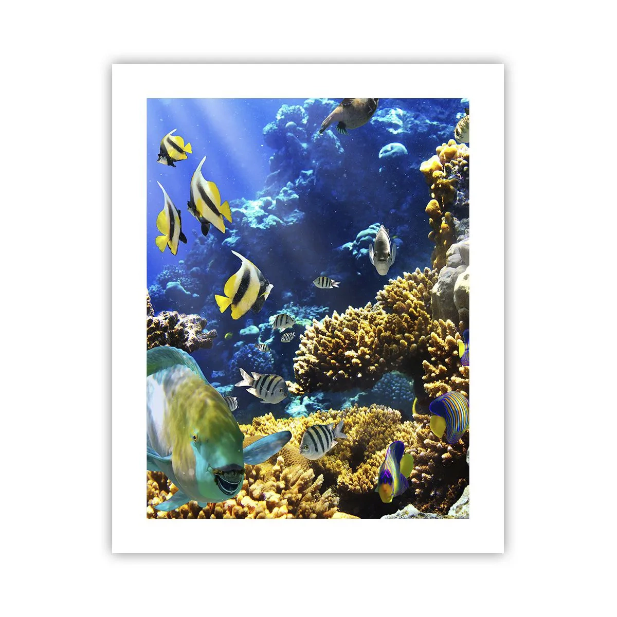 Plagát - Veľká prevádzka na prázdninovom chodníku - 40x50 cm