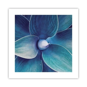 Plagát - Modrastý od neba - 40x40 cm