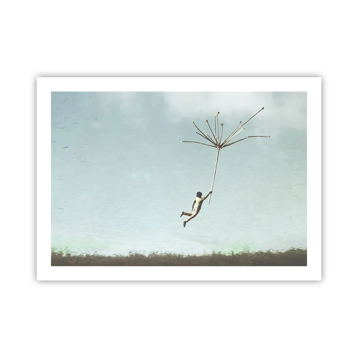 Plagát - Lietajúca púpava - 70x50 cm