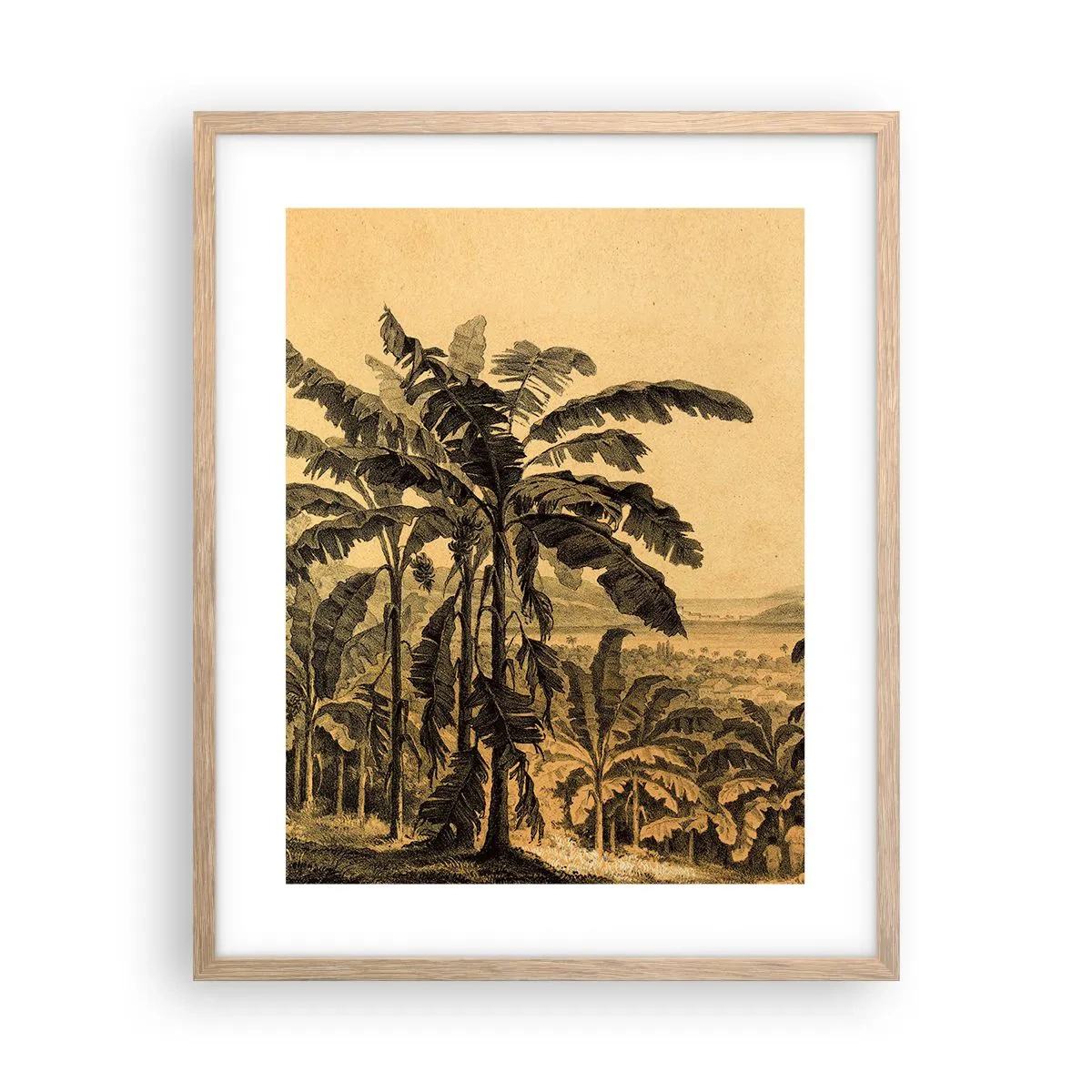 Plagát v ráme zo svetlého duba - V koloniálnom štýle - 40x50 cm