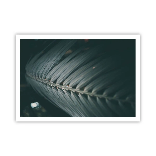 Plagát - Presnosť prírody - 100x70 cm