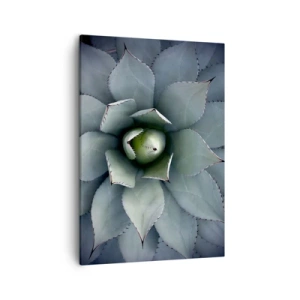 Obraz na plátne - Zvádza a varuje - 50x70 cm