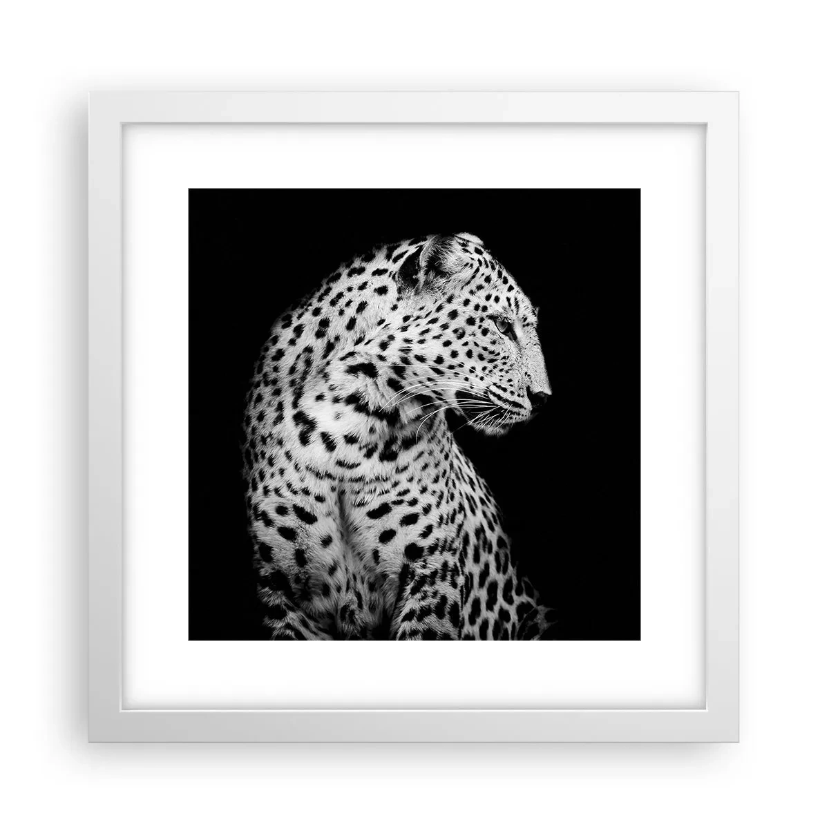 Plagát v bielom ráme - Pravý profil perfektný! - 30x30 cm