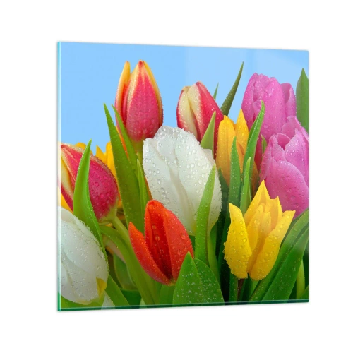 Obraz na skle - Kvetinová dúha v kvapkách rosy - 70x70 cm
