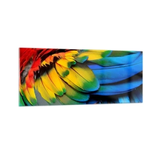Obraz na skle - Nebeský vták - 100x40 cm