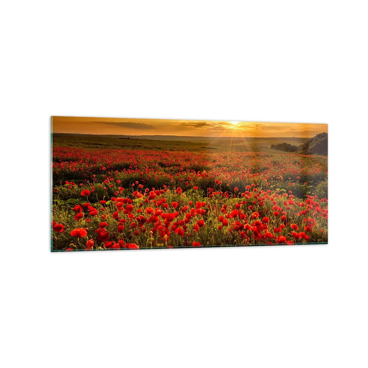 Obraz na skle - Medzi vlnami šumiacich lúk, medzi záplavou kvetov - 120x50 cm