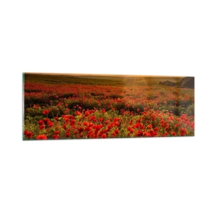 Obraz na skle - Medzi vlnami šumiacich lúk, medzi záplavou kvetov - 90x30 cm