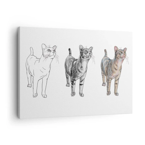 Obraz na plátne - Vývoj kresby mačky od náčrtu po farebnú formu - 70x50cm - Hodina kreslenia - Moderná nástenná dekorácia do obývacej izby a spálne ARTTOR