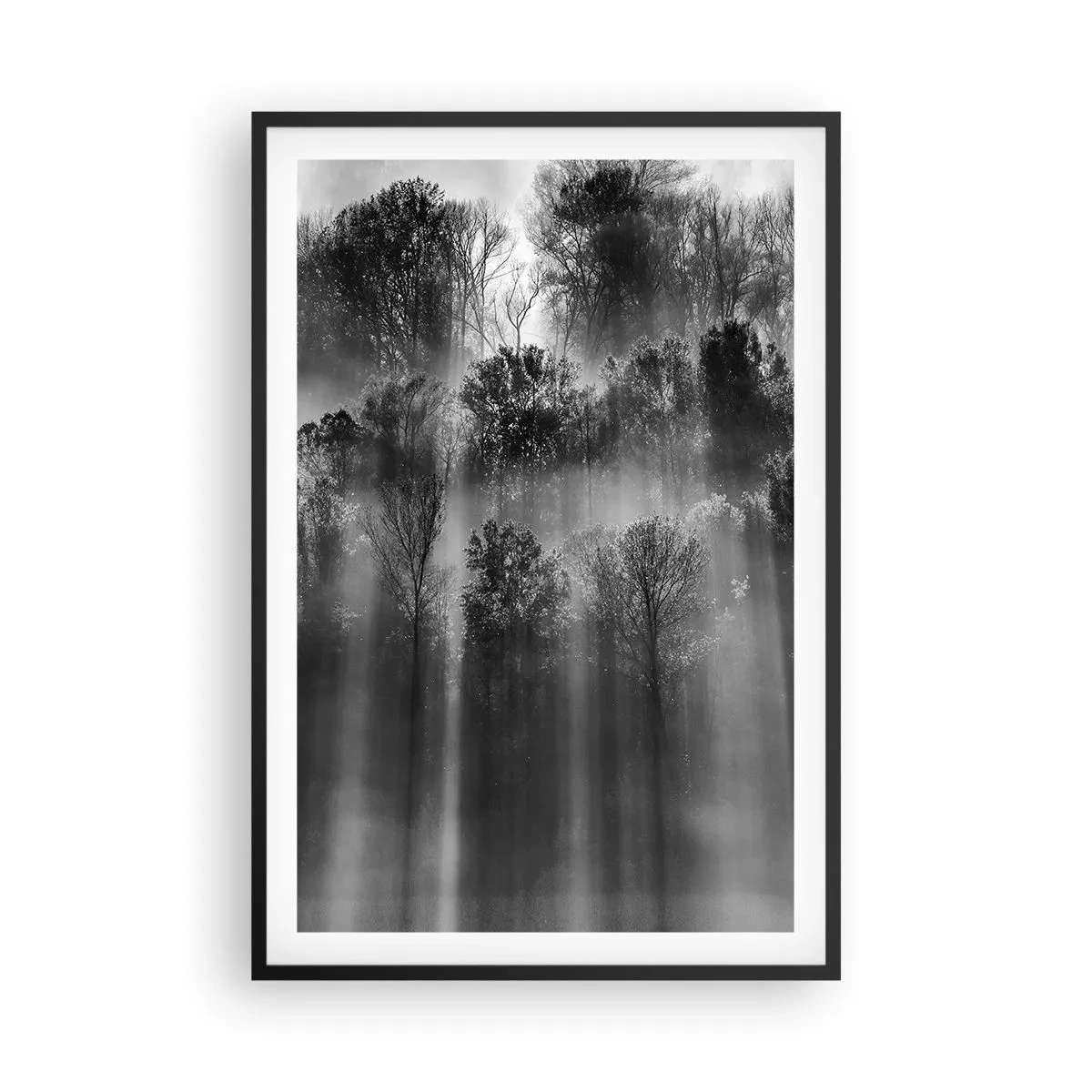 Plagát v čiernom ráme - V lúčoch svetla - 61x91 cm