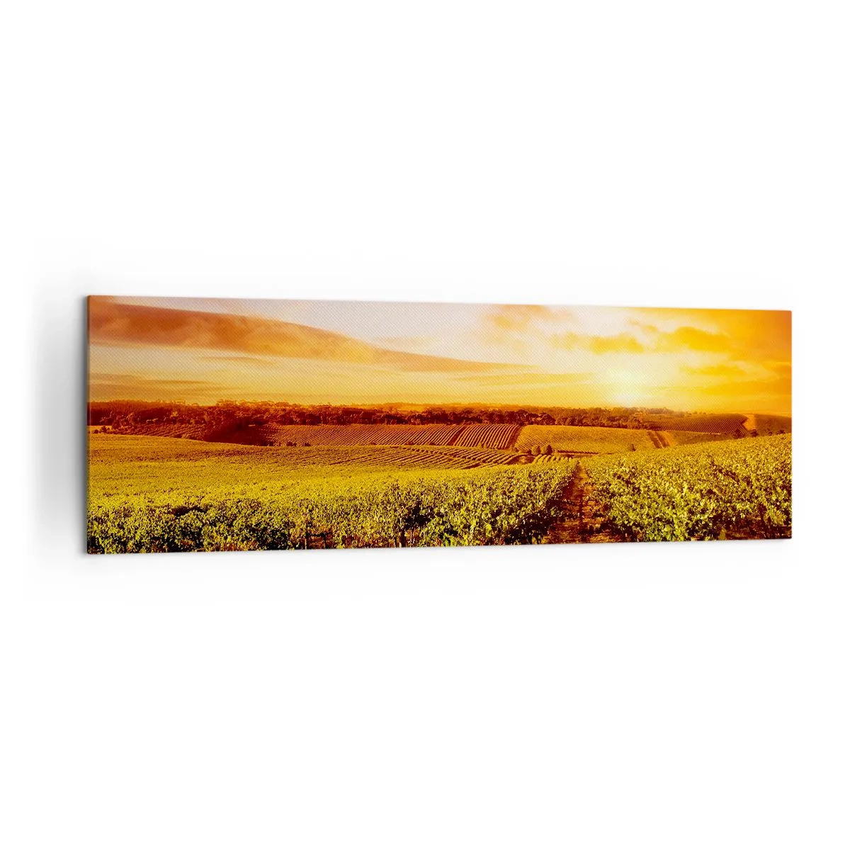 Obraz na plátne - Jemne ovocné s nádychom slnka - 160x50 cm