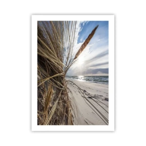 Plagát - Stretnutie živlov - 50x70 cm