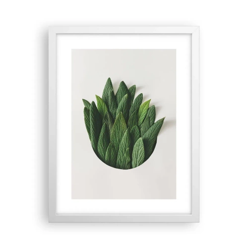 Plagát v bielom ráme - Neukojiteľná zvedavosť - 30x40 cm