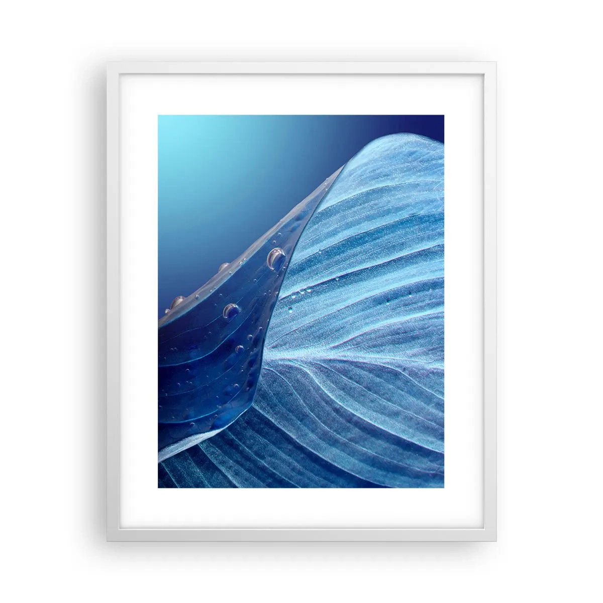 Plagát v bielom ráme - Skryté kvapky modrej - 40x50 cm