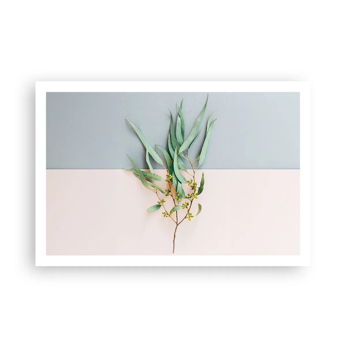 Plagát - Pastelová jemnosť - 91x61 cm