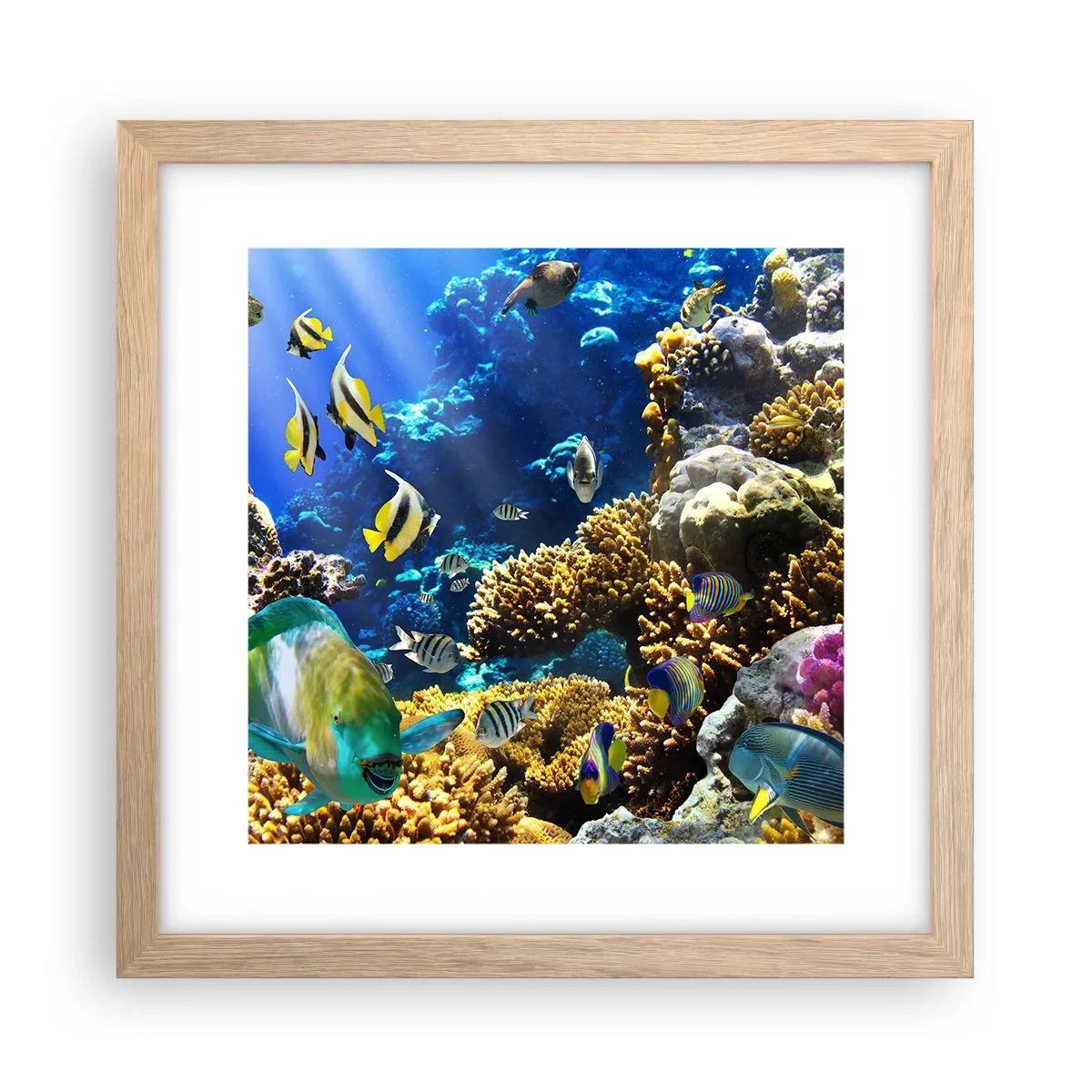 Plagát v ráme zo svetlého duba - Veľká prevádzka na prázdninovom chodníku - 30x30 cm