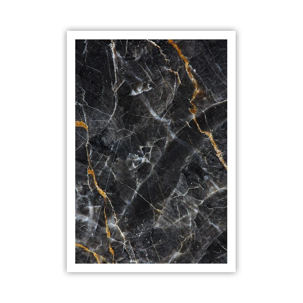 Plagát - Vnútorný život kameňa - 70x100 cm