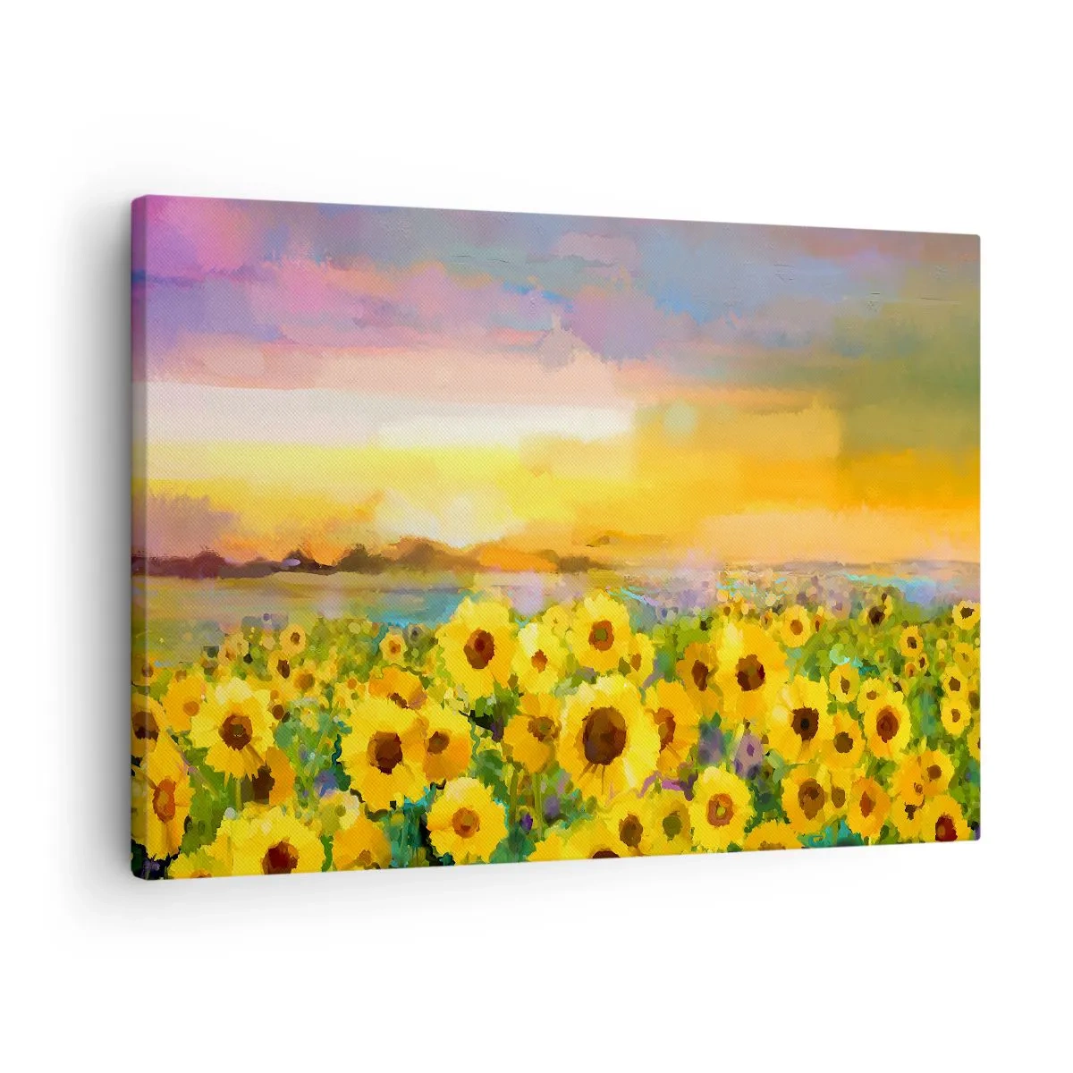 Obraz na plátne - Pole slnečníc vo svetle zapadajúceho slnka - 70x50cm - Samotné slnko zostúpilo na zem - Moderná nástenná dekorácia do obývacej izby a spálne ARTTOR