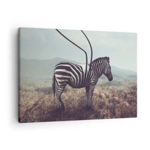 Obraz na plátne - Surrealistická zebra na pozadí trávnatej krajiny - 70x50cm - Pozor! Porucha - Moderná nástenná dekorácia do obývacej izby a spálne ARTTOR