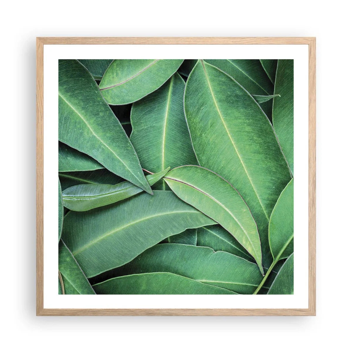 Plagát v ráme zo svetlého duba - Šťavnaté a svieže - 60x60 cm