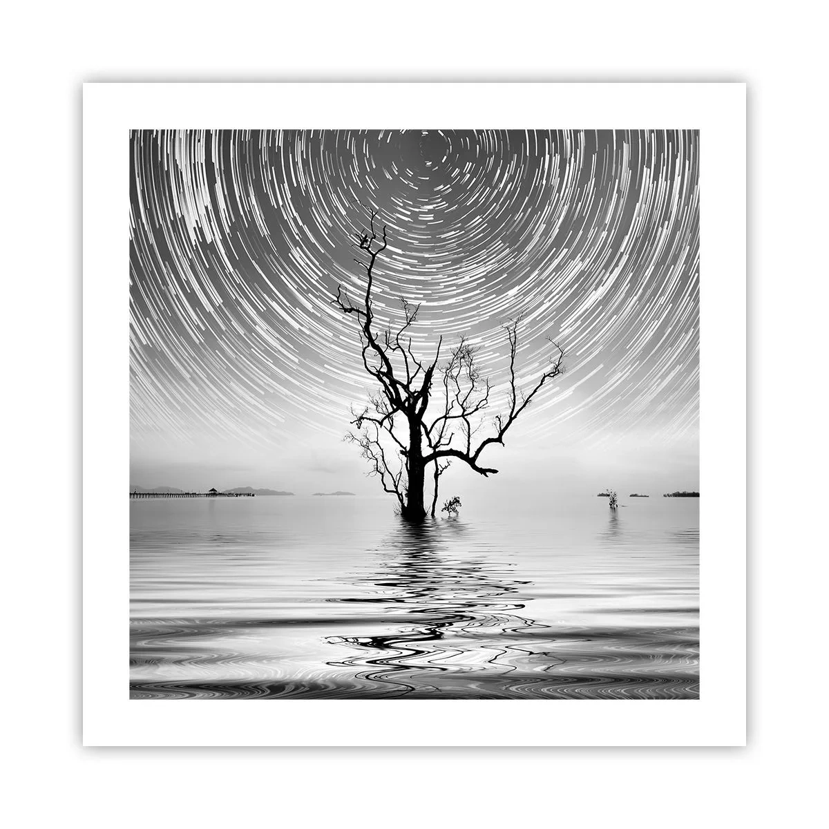 Plagát - Symfónia prírody - 50x50 cm