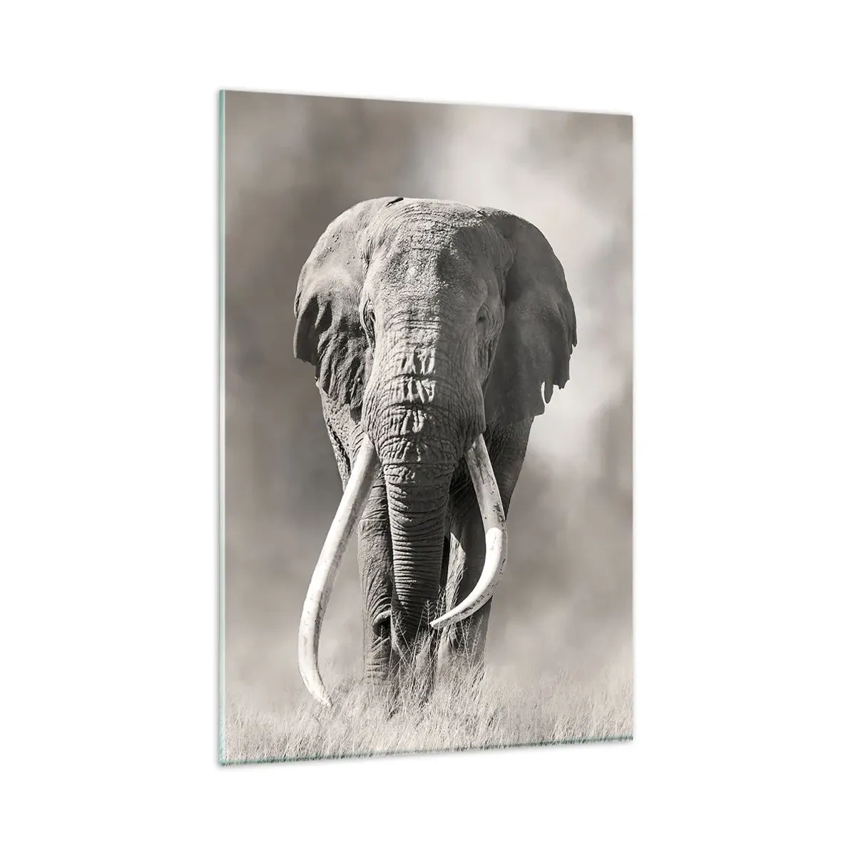 Obraz na skle - Africký patriarcha - 80x120 cm