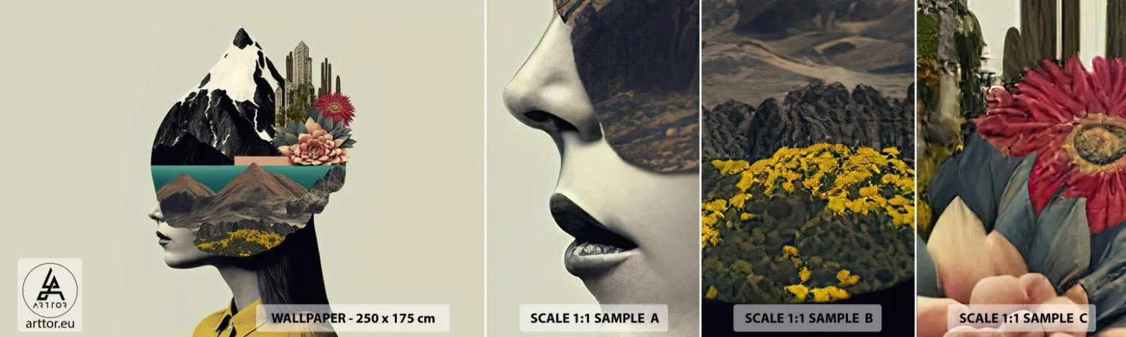 Vzorka Fototapeta Standard Eco - Žena – vždy tajomstvo - hory, Myseľ, Hlava - 100x30 cm