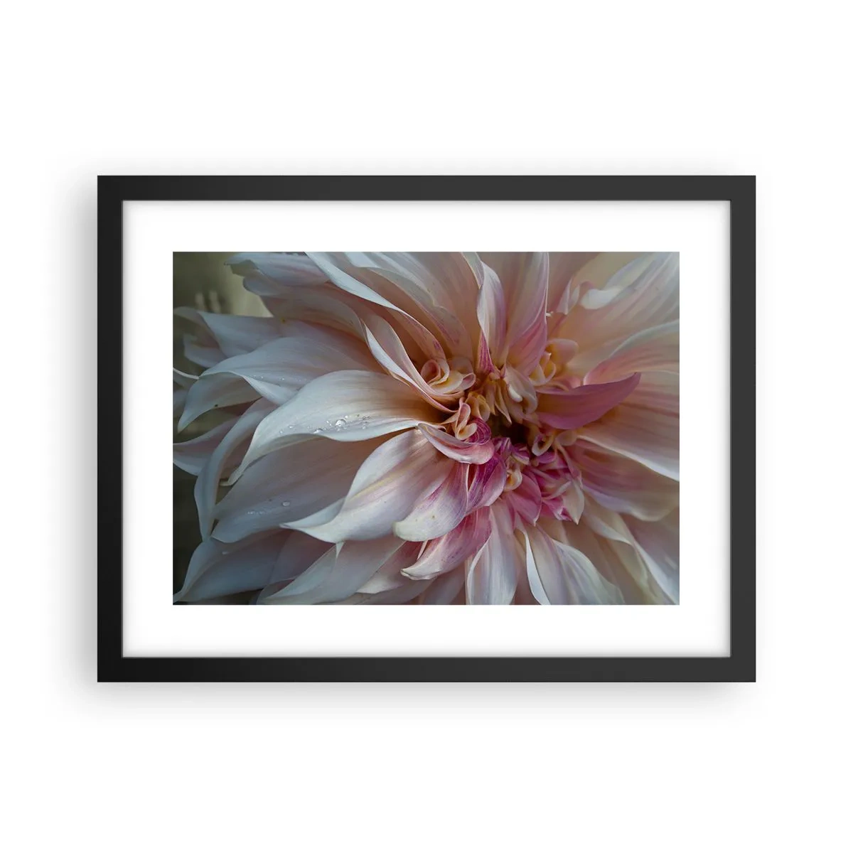 Plagát v čiernom ráme - Kvitnúca sviežosť - 40x30 cm