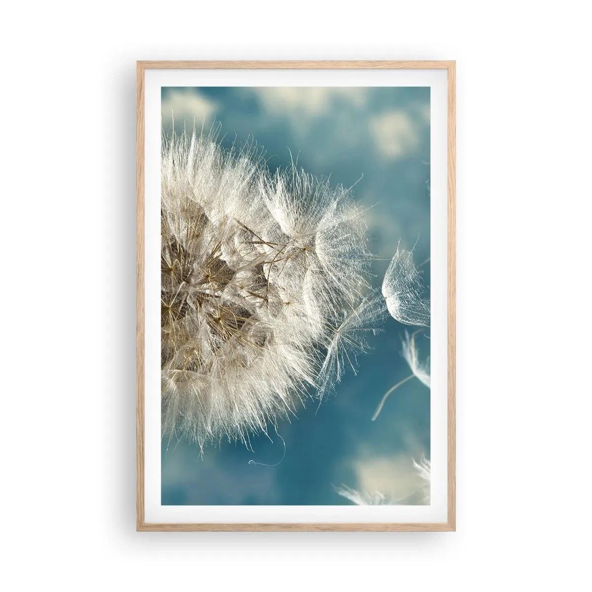 Plagát v ráme zo svetlého duba - Dych anjela - 61x91 cm