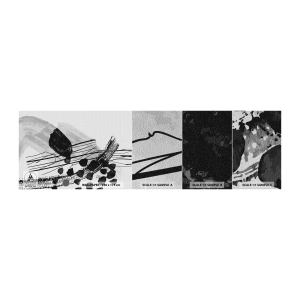 Vzorka fototapety Premium Sand - Čiernobiela organická abstrakcia - Abstrakcia, Moderné, Kus - 100x30 cm