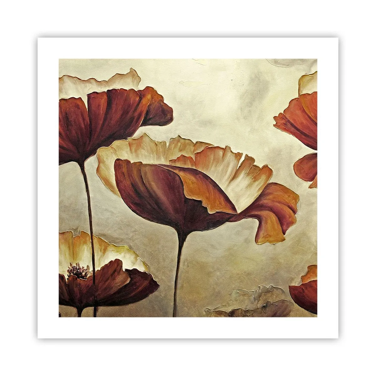 Plagát - Lán lúky - 50x50 cm