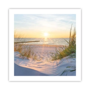 Plagát - Šumenie mora, spev vtákov, divoká pláž uprostred trávy… - 50x50 cm