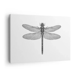 Obraz na plátne - Čiernobiela kresba vážky na bielom pozadí v minimalistickom štýle - 70x50cm - Presnosť prírody - Moderná nástenná dekorácia do obývacej izby a spálne ARTTOR
