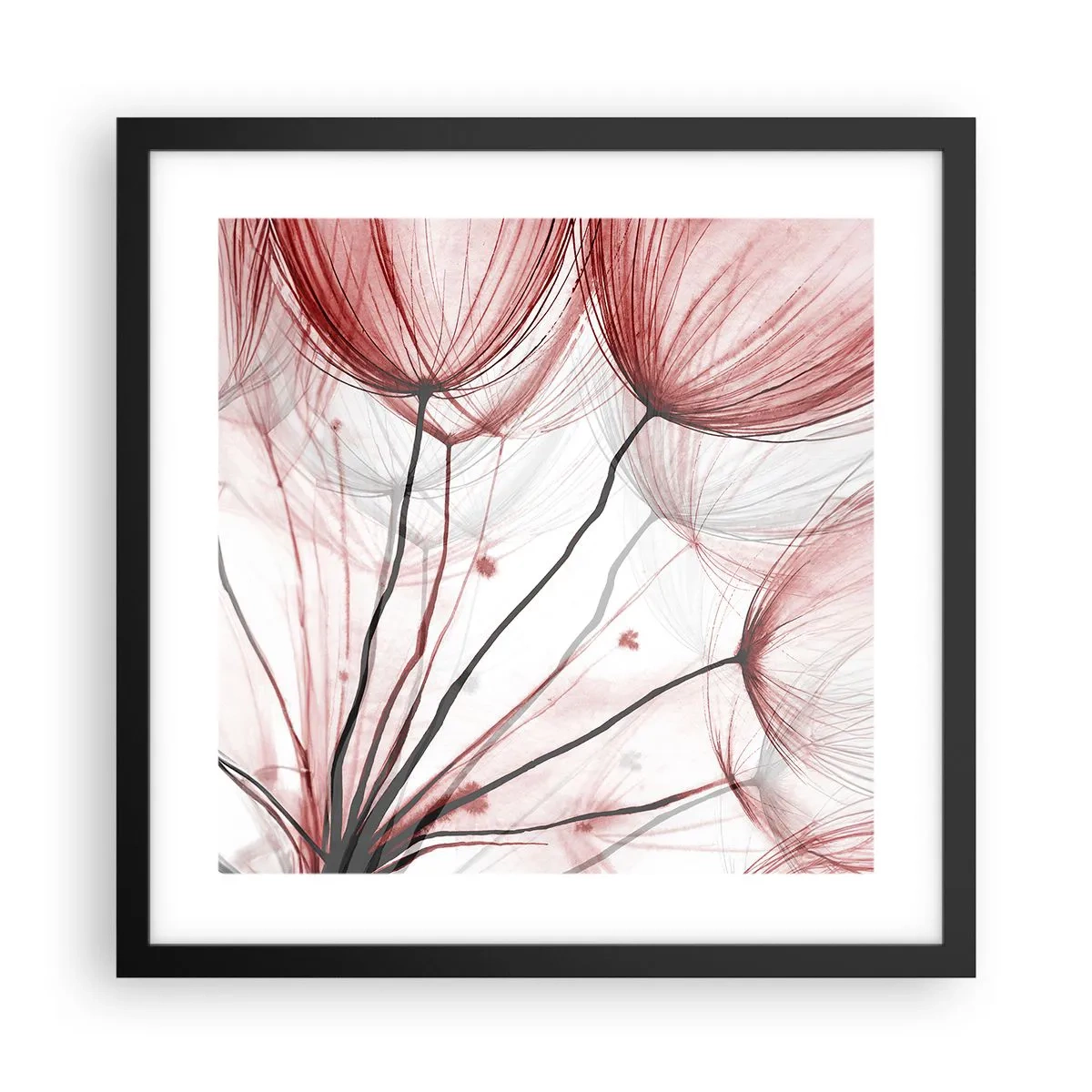 Plagát v čiernom ráme - Pred odletom - 40x40 cm