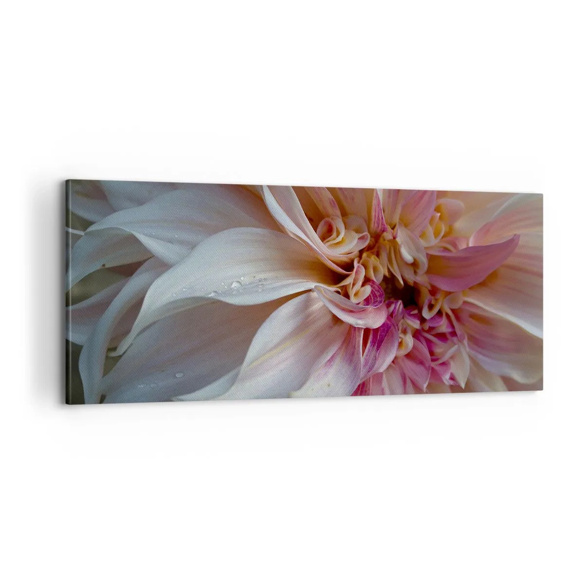 Obraz na plátne - Kvitnúca sviežosť - 100x40 cm