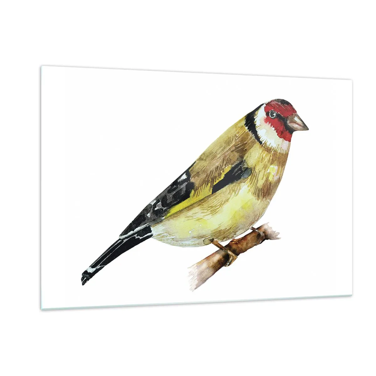 Obraz na skle - Vtáčí portrét - 120x80 cm