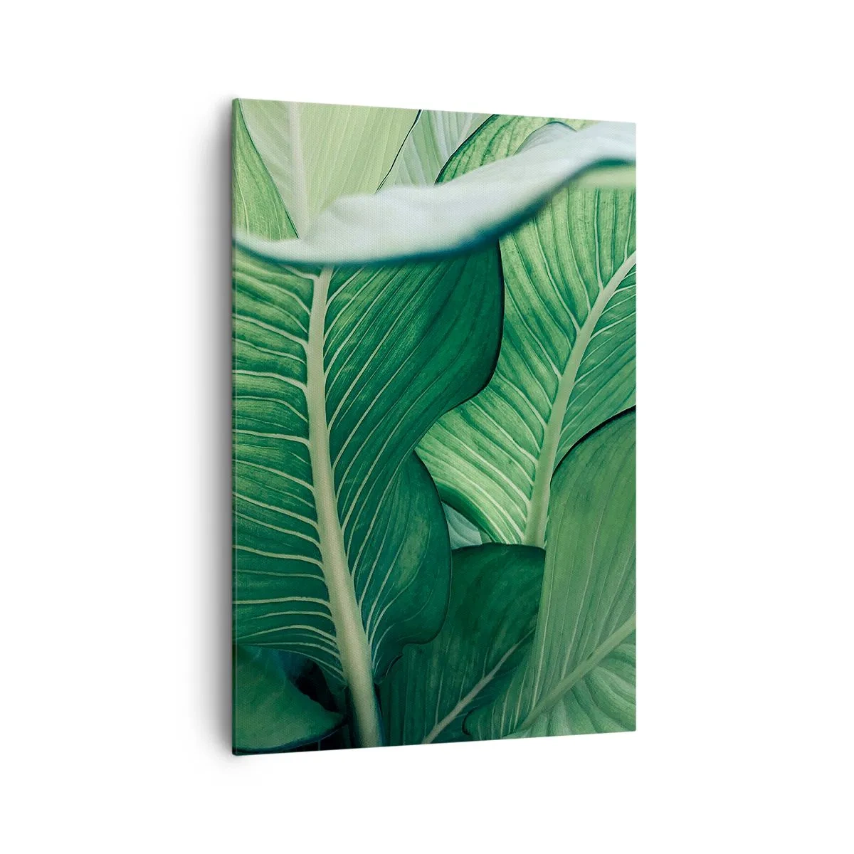 Obraz na plátne - Intenzívne zelený život - 70x100 cm