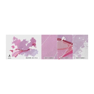 Vzorka fototapety Premium Canvas - Mapa ružového sveta - Minimalizmus, Pastel, Mapa - 100x30 cm