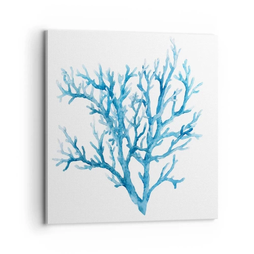 Obraz na plátne - Morský filigrán - 70x70 cm
