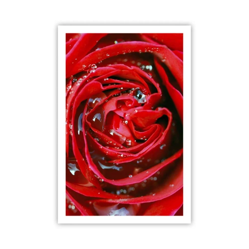 Plagát - V kvapkách rosy - 61x91 cm