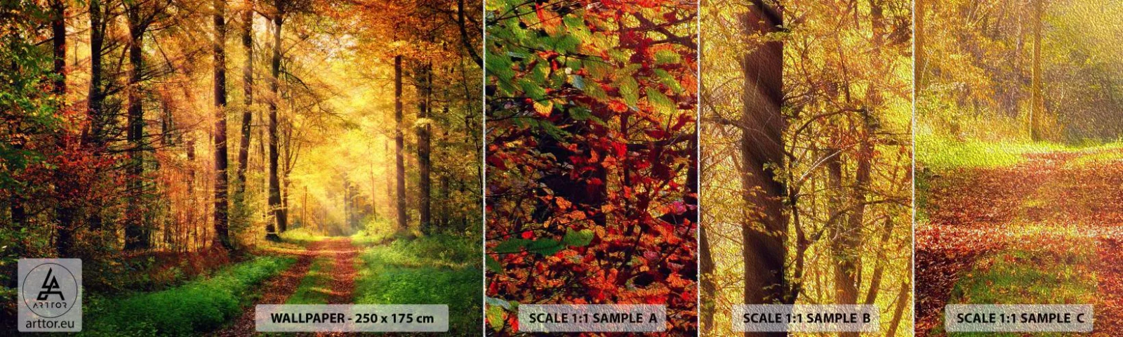 Vzorka fototapety Premium Sand - Lesno-zlaté ticho - Krajina, les, Lesná cesta - 100x30 cm