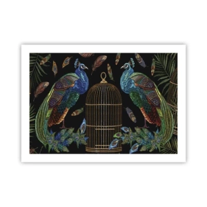 Plagát - V kráľovskom rúchu - 70x50 cm