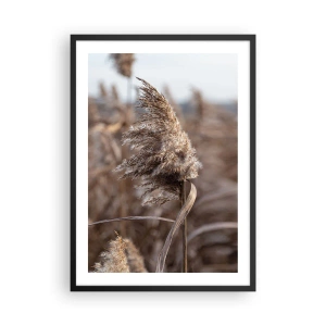 Plagát v čiernom ráme - Detail suchého trstiny v prírodných odtieňoch na pozadí oblohy - 50x70cm - Čas odletieť s vetrom - Moderná nástenná dekorácia do obývacej izby a spálne ARTTOR